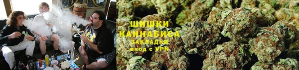 шишки Богданович