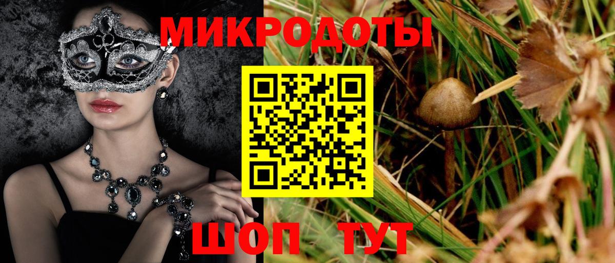 Псилоцибиновые грибы прущие грибы Северск