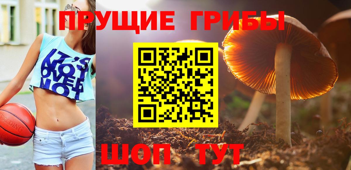 Северск  Псилоцибиновые грибы мухоморы  Вход с VPN 