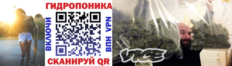 KRAKEN зеркало  что такое   Северск  Шишки марихуана конопля 
